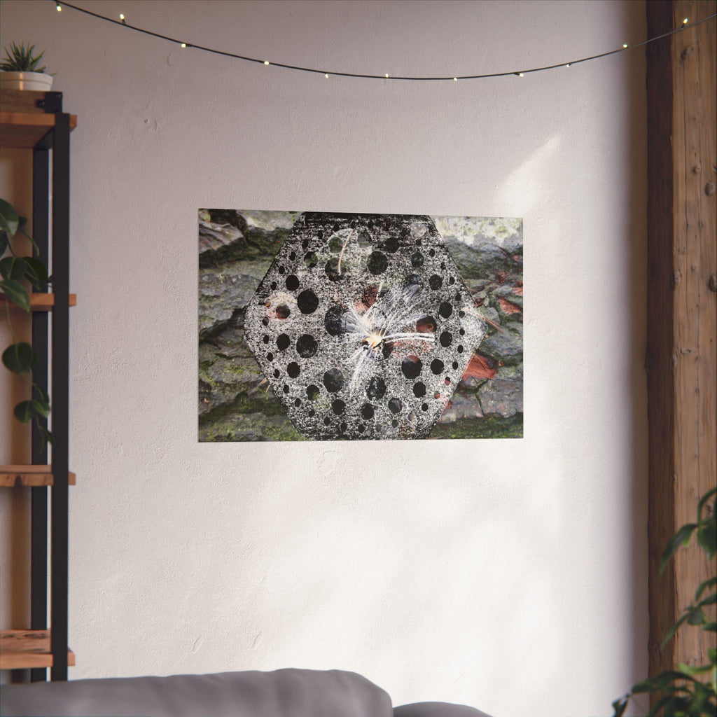Dandelion Seed Macro Poster — Matte Horizontal Nature Wall Art