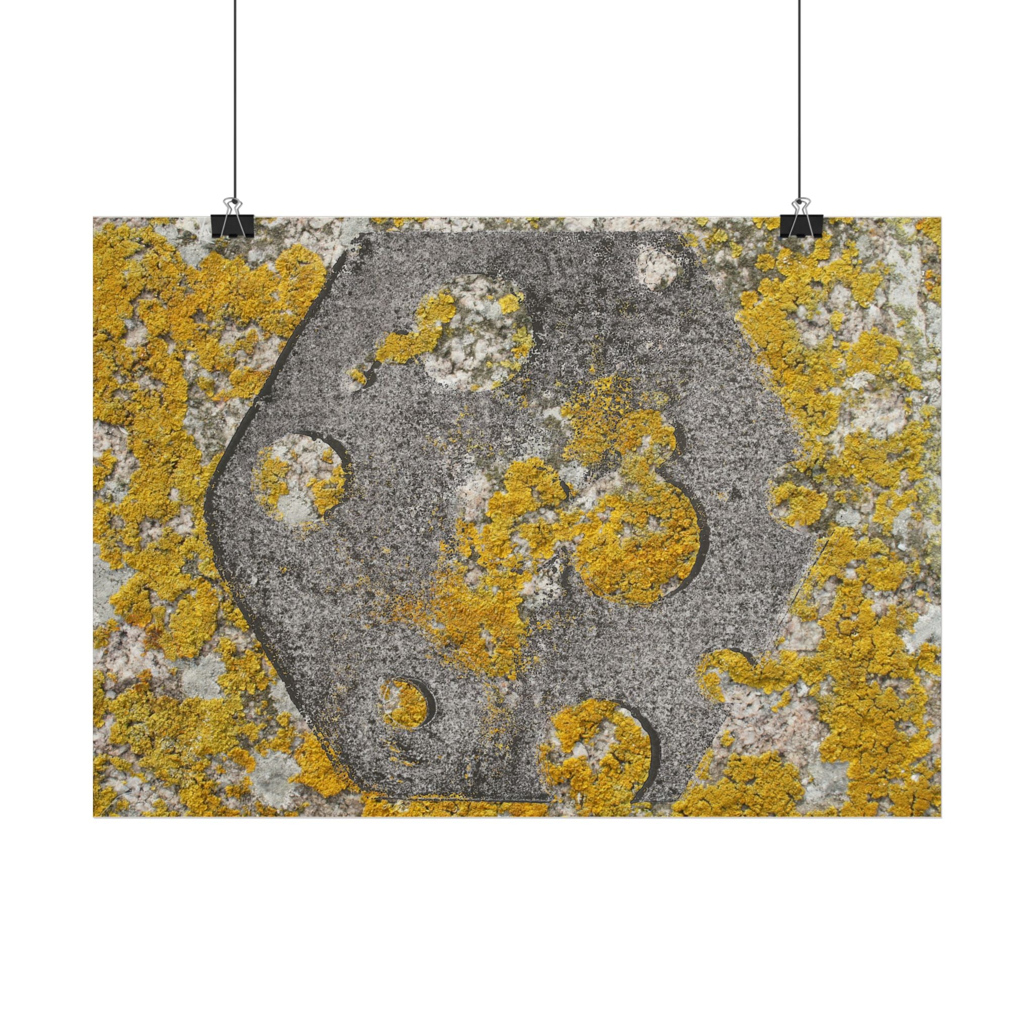 Abstracte poster met korstmosstructuur — Botanische muurdecoratie in geel en grijs 