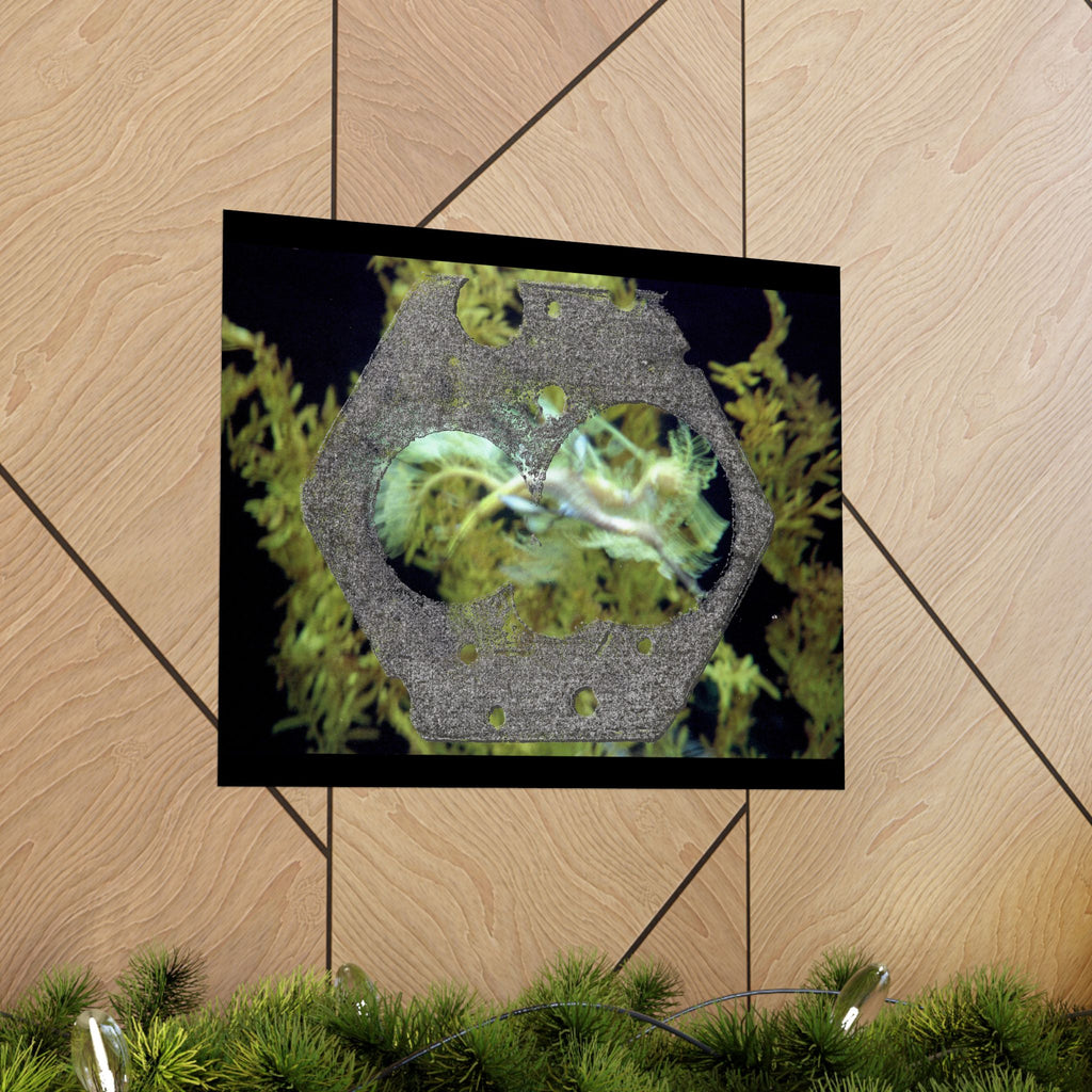 Abstracte poster met organische textuur en matte afwerking | Horizontale wanddecoratie, geïnspireerd op de natuur 
