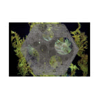 Abstract Botanical Moon Matte Horizontal Poster