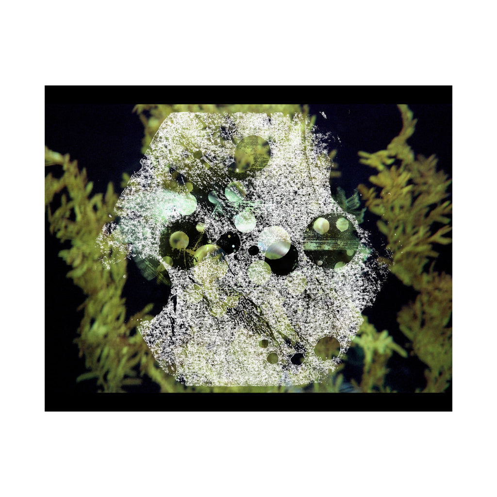 Abstract Green Algae Matte Poster — Botanical Ocean Wall Art (Horizontal)