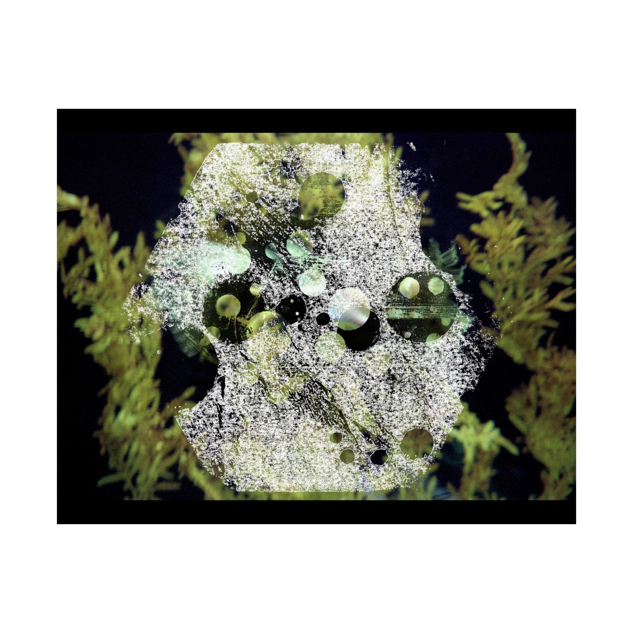 Abstract Green Algae Matte Poster — Botanical Ocean Wall Art (Horizontal)