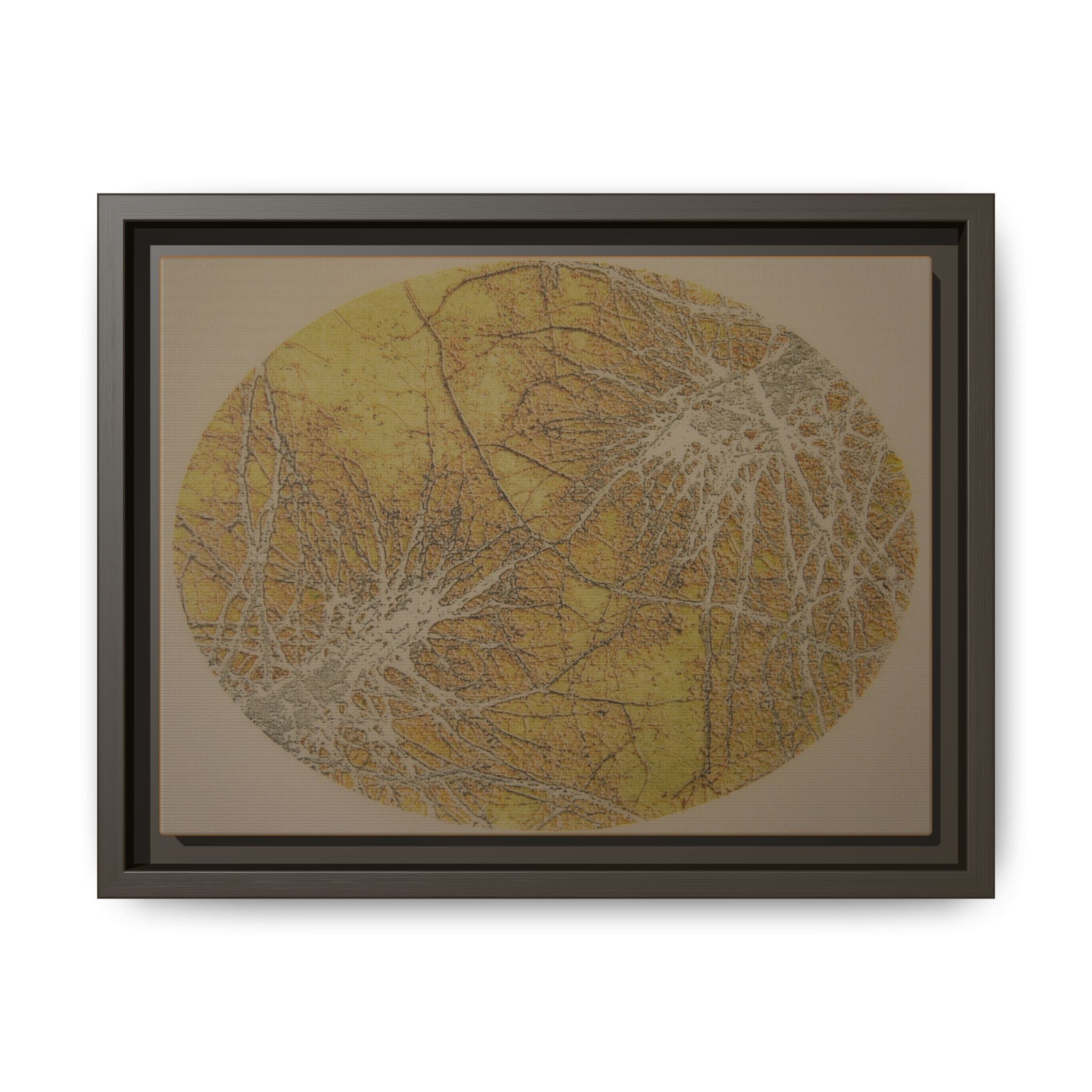 Framed Matte Canvas Art - Abstract Golden Circle Botanical Print - no 44