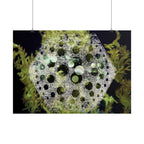 Abstracte groene bubbelkunstposter — Horizontale wandprint 
