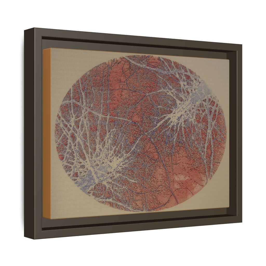 Abstract Botanical Circle Matte Canvas Framed Art — Multi‑Color - no 49