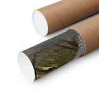 Weathered Tree Cross-Section Poster | Matte Horizontal Wall Art
