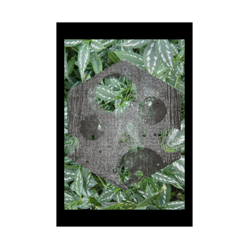Botanical Moon Poster — Matte Vertical Art Print