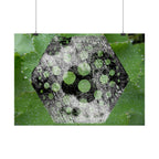 Horizontal Poster — Green Hexagon Botanical Abstract Wall Art