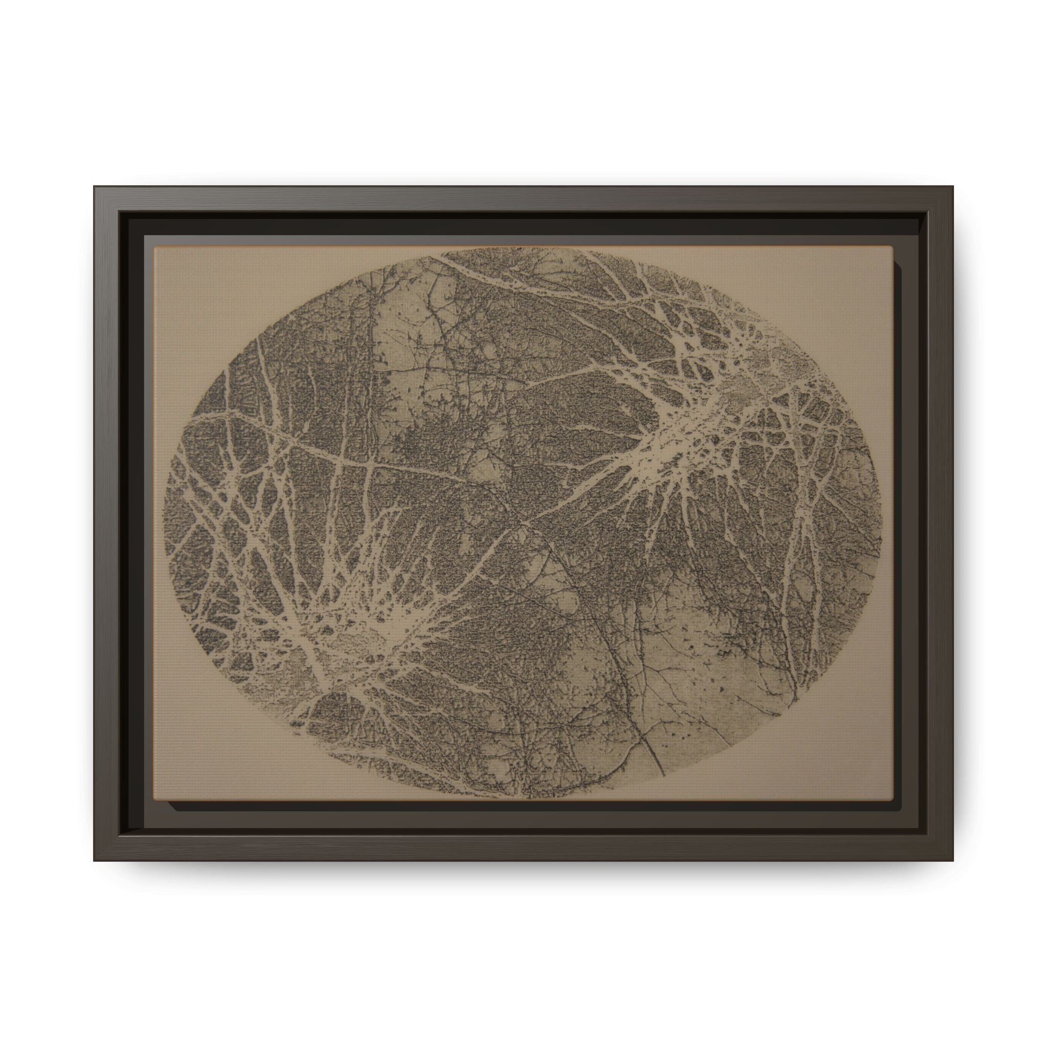 Framed Matte Canvas Art — Abstract Moonprint Landscape - no 34