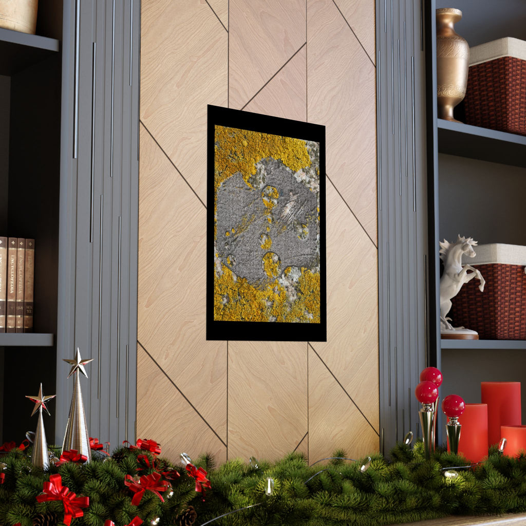 Lichen Texture Matte Poster — Yellow & Gray Nature Wall Art