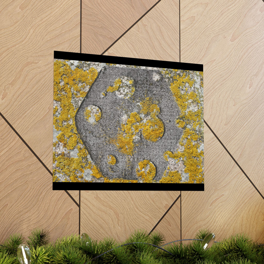 Abstracte poster met korstmosstructuur en matte afwerking — Geel &amp; Grijs Botanische Muurdecoratie 