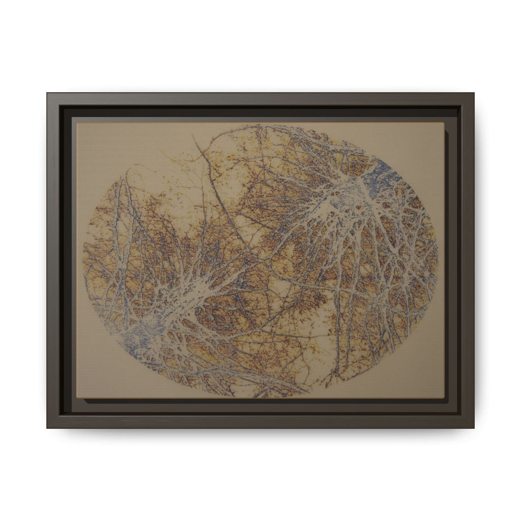 Botanical Orbit Matte Canvas Framed Wall Art - no 38