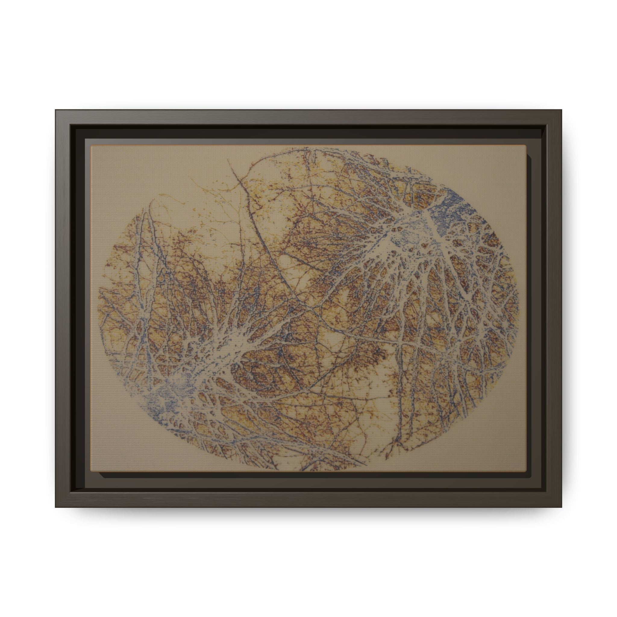Botanical Orbit Matte Canvas Framed Wall Art - no 38