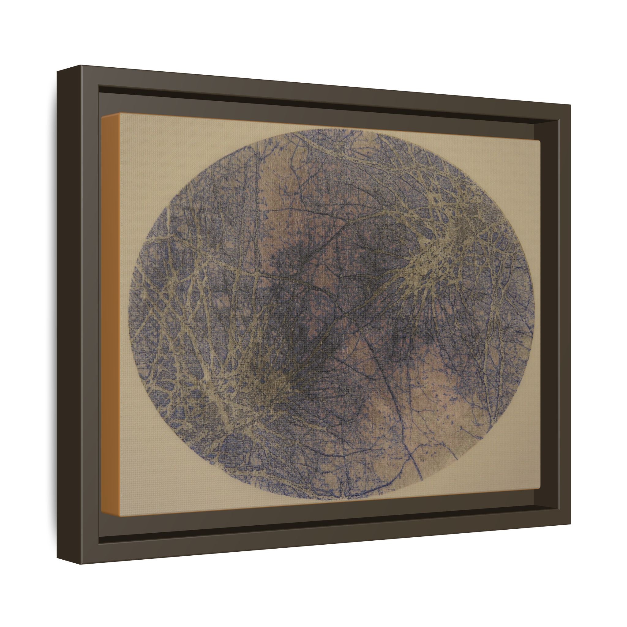 Abstract Botanical Circle Matte Canvas Framed Art - no 42