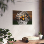 Abstract Hexagon Sunset Matte Horizontal Poster