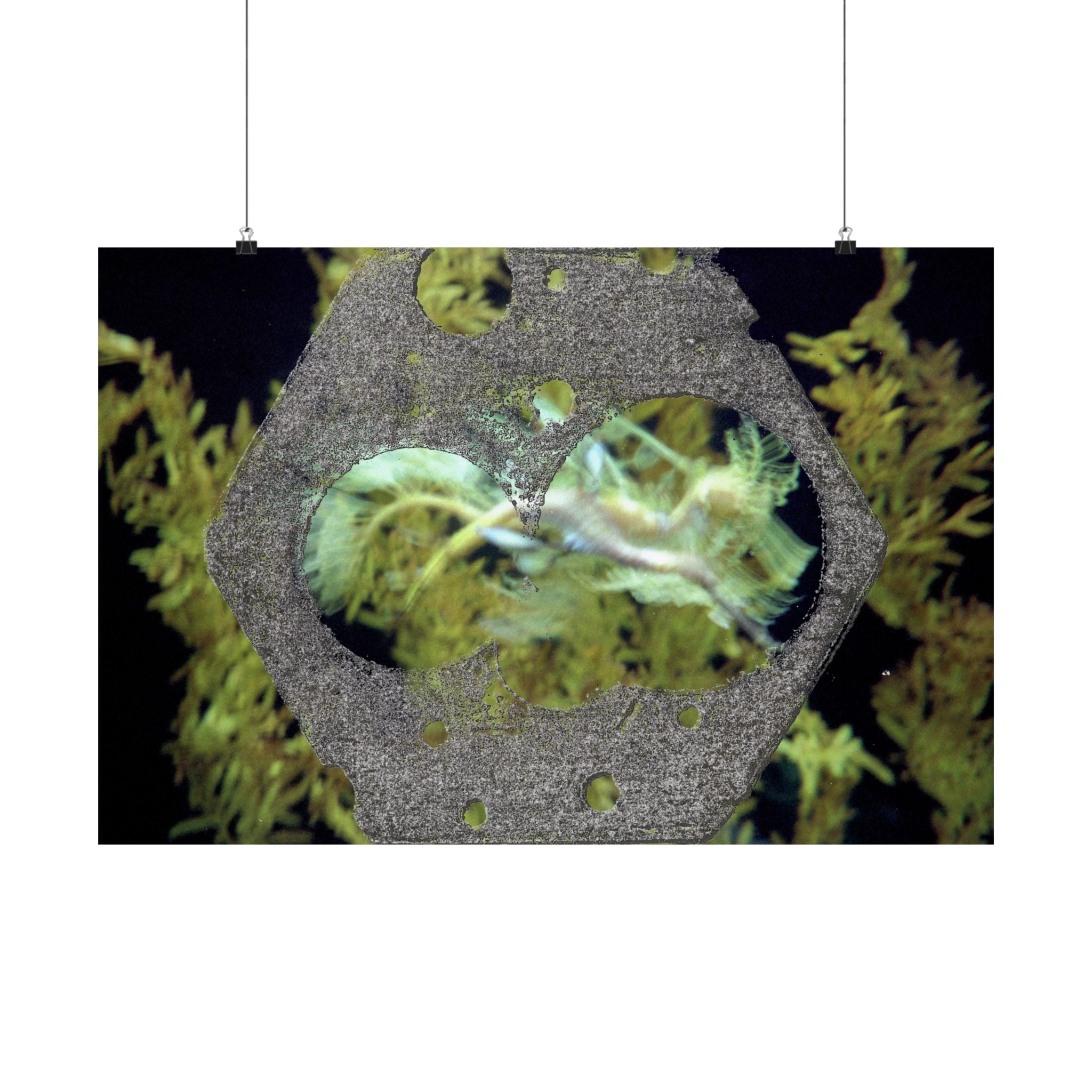 Abstract Organic Texture Matte Poster | Horizontal Wall Art, Nature-Inspired