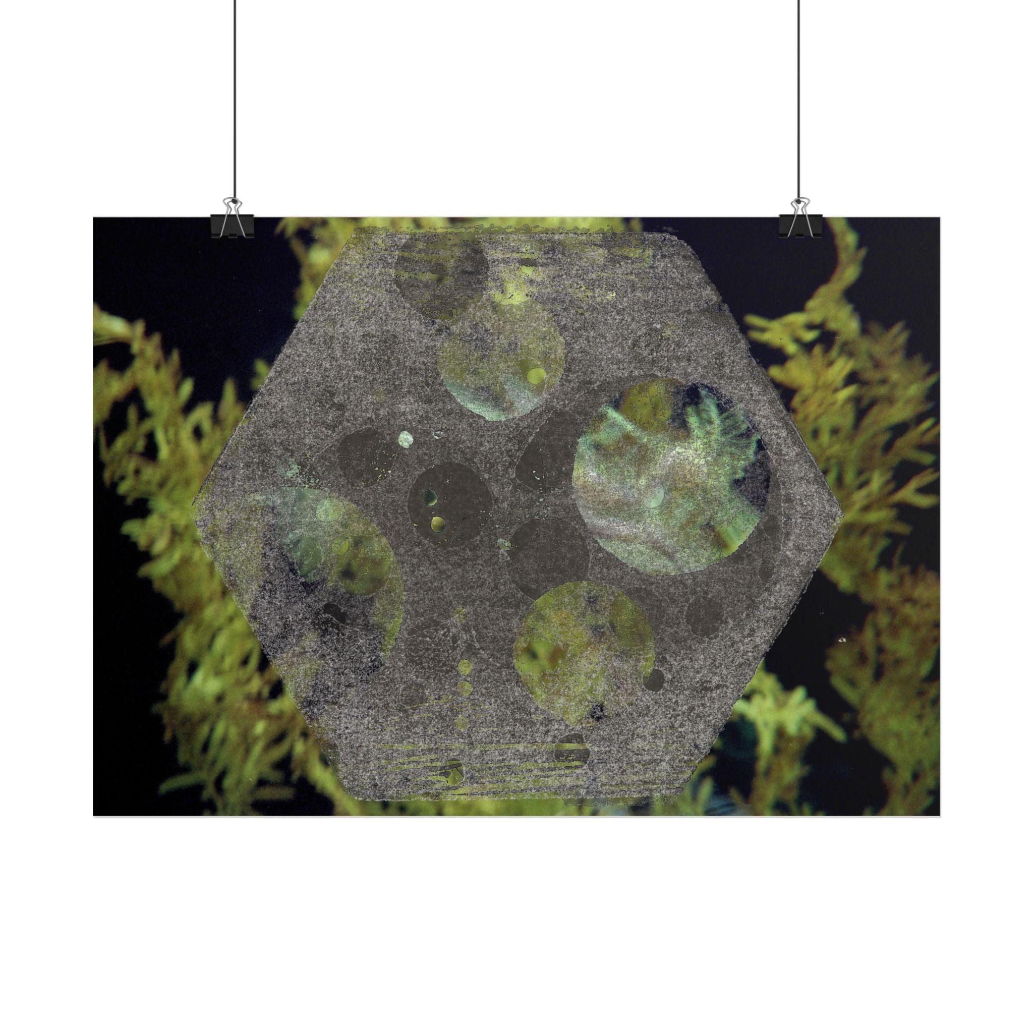 Abstracte botanische maan horizontale poster 