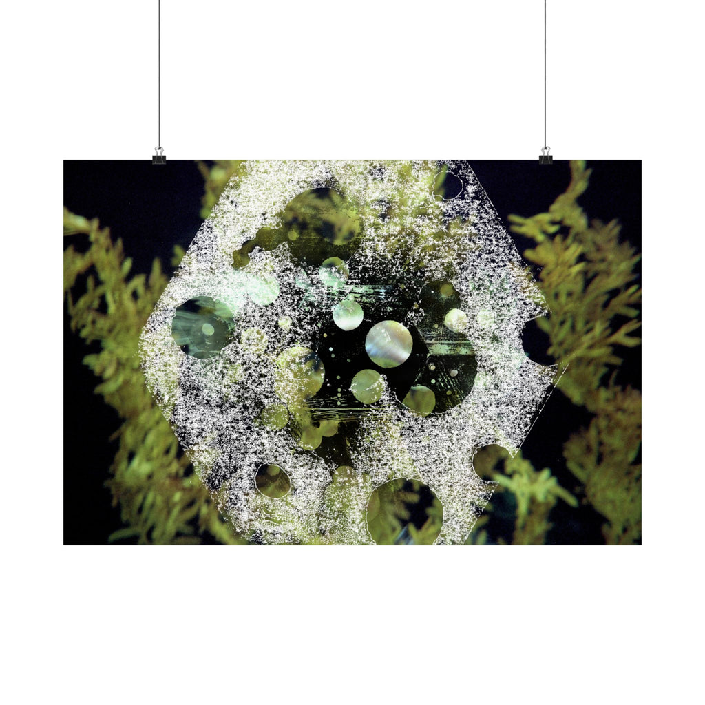 Abstract Green Bubble Matte Poster — Botanical Surreal Horizontal Wall Art