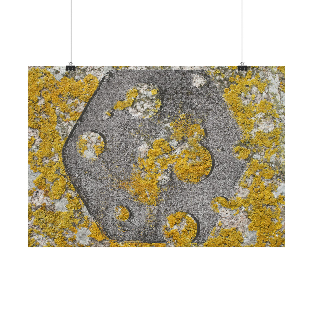 Abstracte poster met korstmosstructuur — Botanische muurdecoratie in geel en grijs 