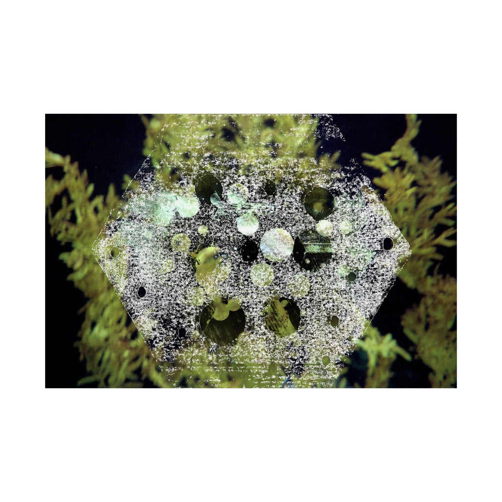 Matte Horizontal Poster — Abstract Marine Coral Hexagon Art