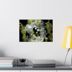 Abstracte natuurcollage, matte horizontale poster 