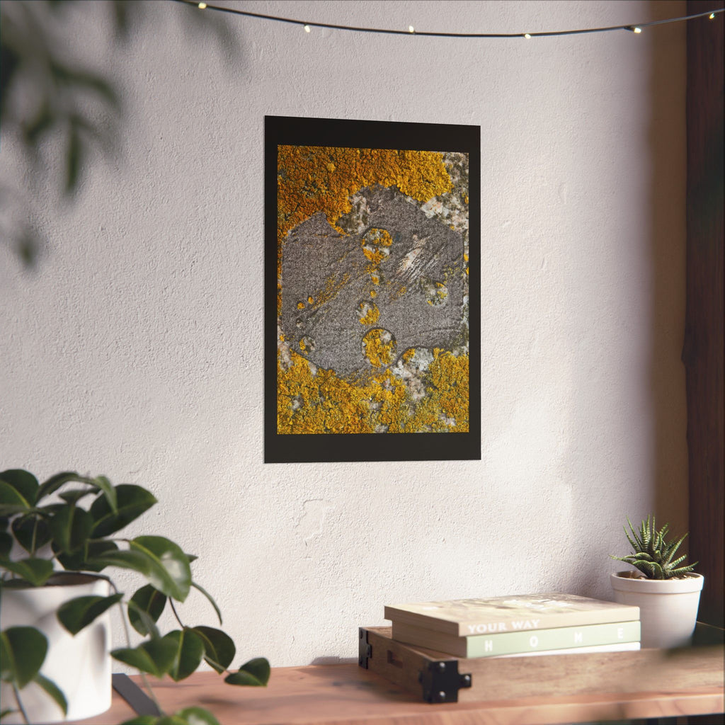 Lichen Texture Matte Poster — Yellow & Gray Nature Wall Art