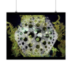 Abstract Green Bubble Art Poster — Matte Horizontal Wall Print