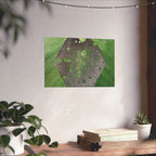 Groene zeshoekige abstracte matte horizontale poster | Geometrische abstracte kunst 