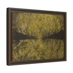 Framed Canvas Art - Golden Forest Canopy Matte Print - no 46
