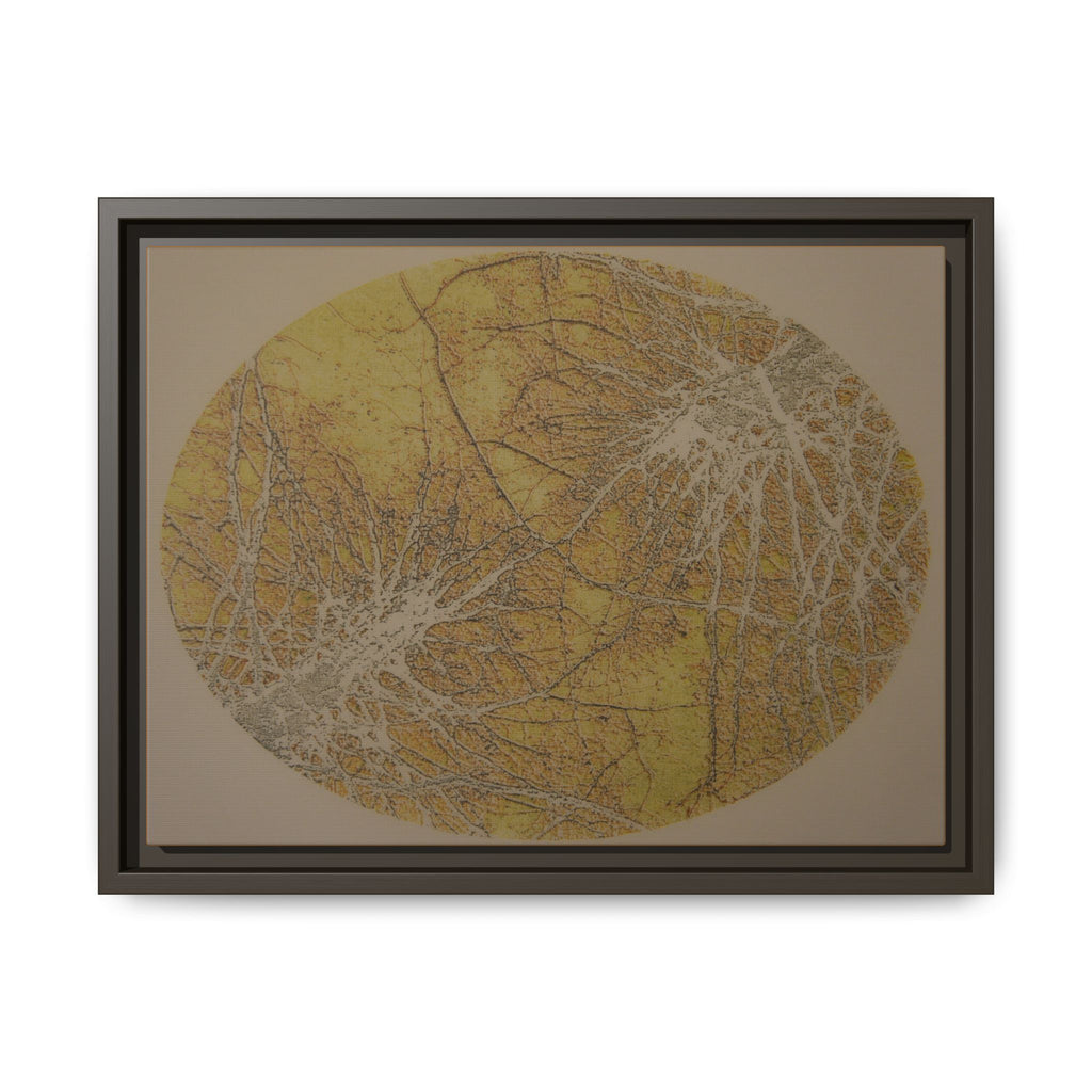 Framed Matte Canvas Art - Abstract Golden Circle Botanical Print - no 44