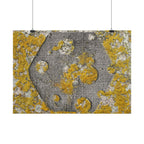 Abstracte poster met korstmosstructuur — Botanische muurdecoratie in geel en grijs 