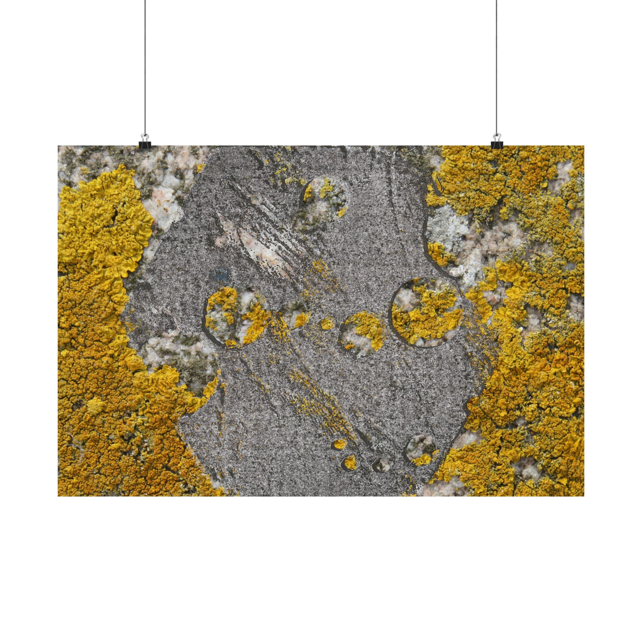 Lichen Texture Matte Poster — Yellow Moss Wall Art (Horizontal)