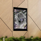 Abstract Woodgrain Poster — 'Tree Knot Orbit' Matte Vertical Art Print
