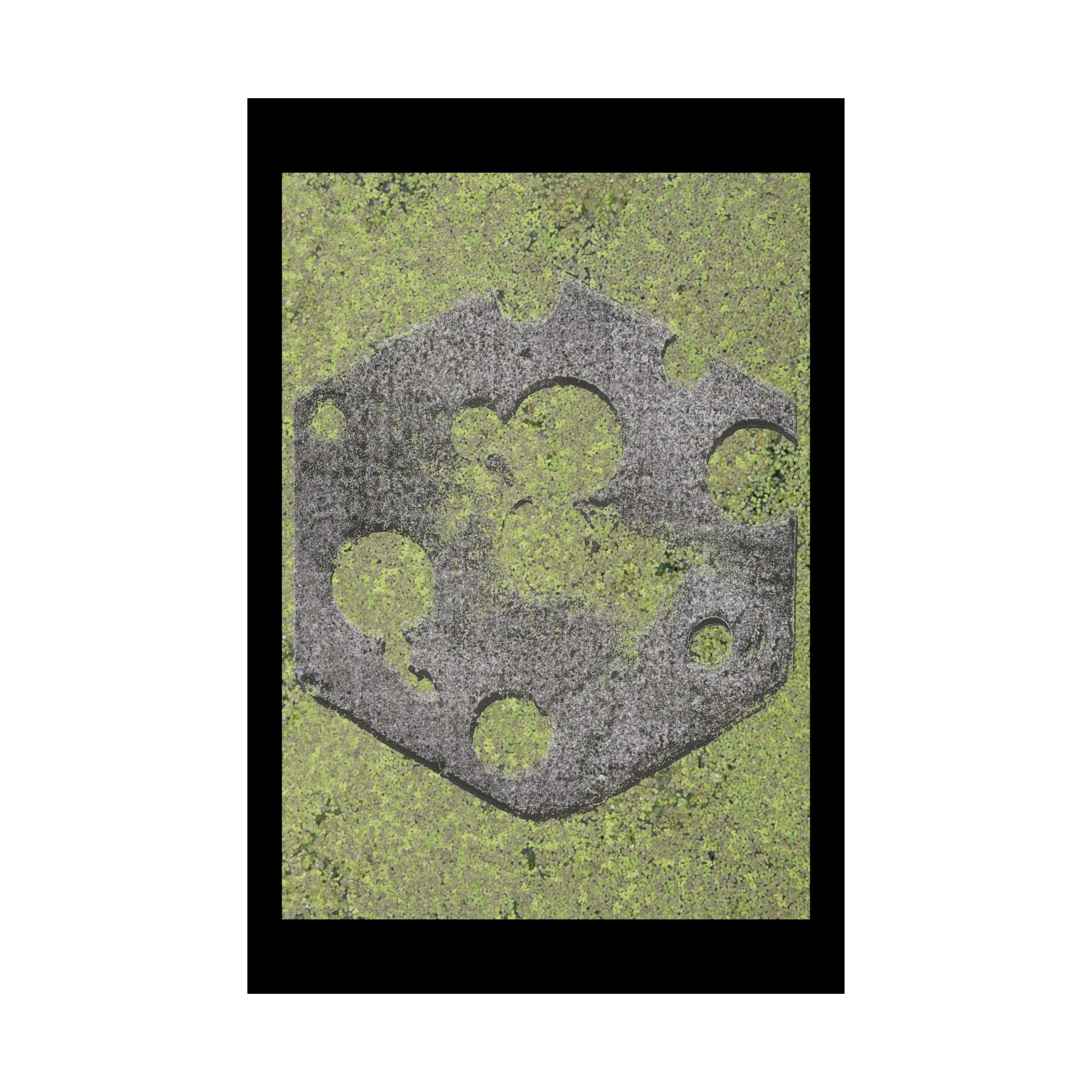 Mossy Stone Crest Poster — Matte Vertical Wall Art