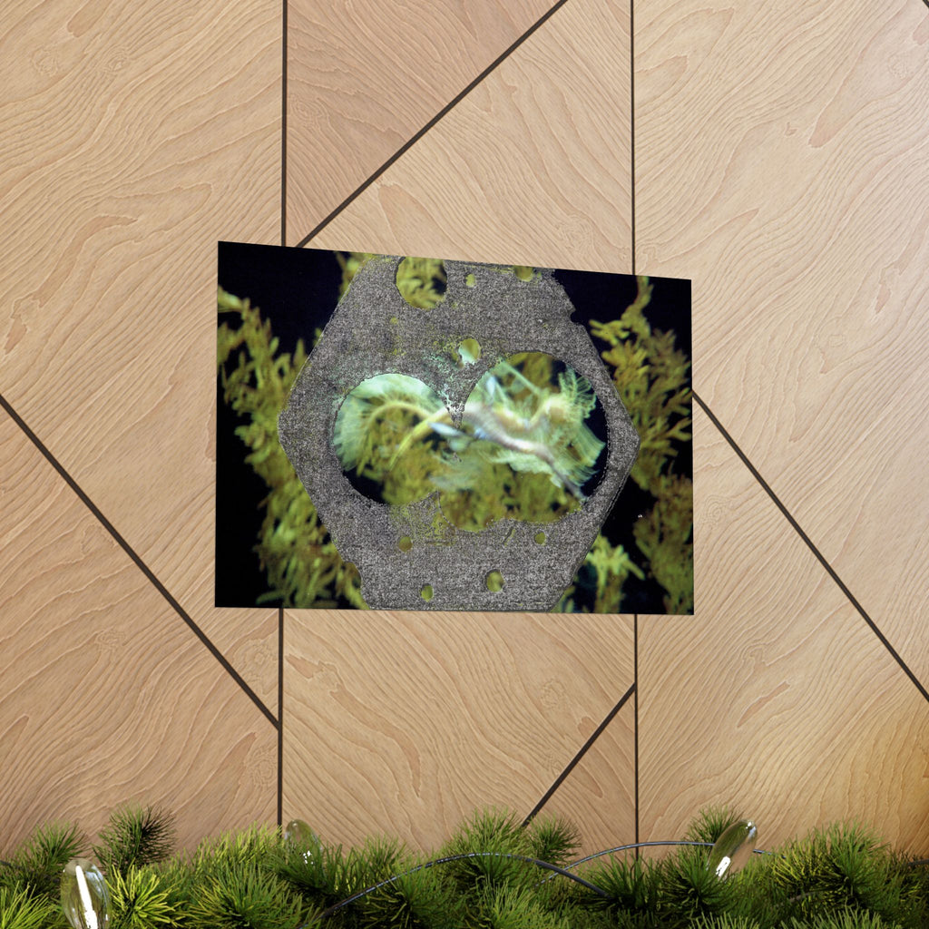 Abstracte poster met organische textuur en matte afwerking | Horizontale wanddecoratie, geïnspireerd op de natuur 