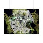 Abstract Nature Horizontal Poster — Moss & Stone Texture Wall Art