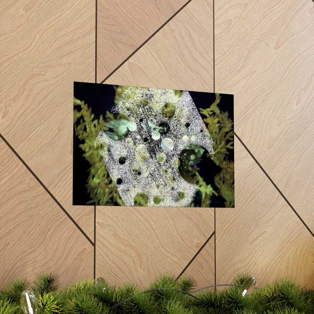 Abstract Nature Matte Horizontal Poster — Moss & Stone Texture Wall Art