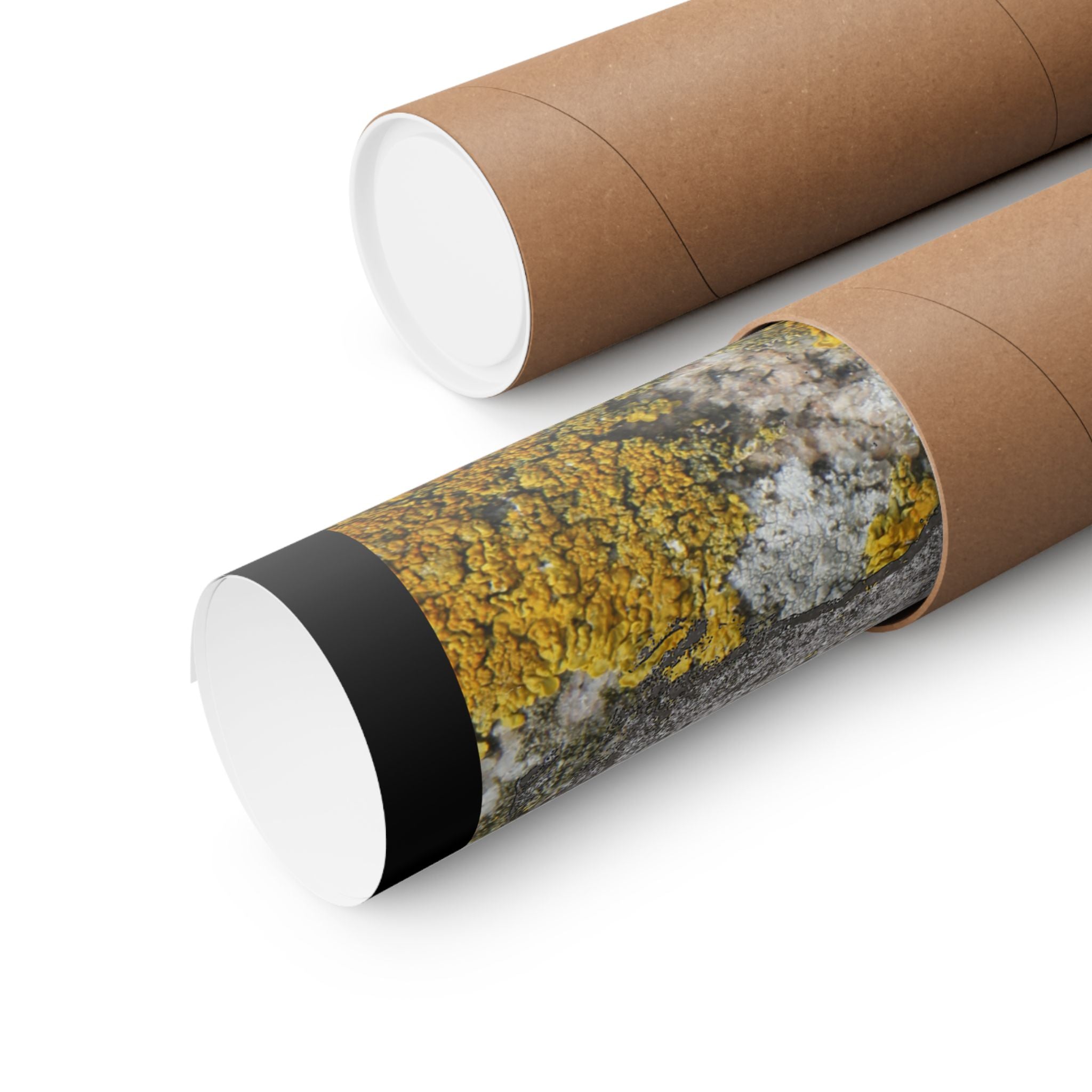 Lichen Texture Matte Poster — Yellow & Gray Nature Wall Art
