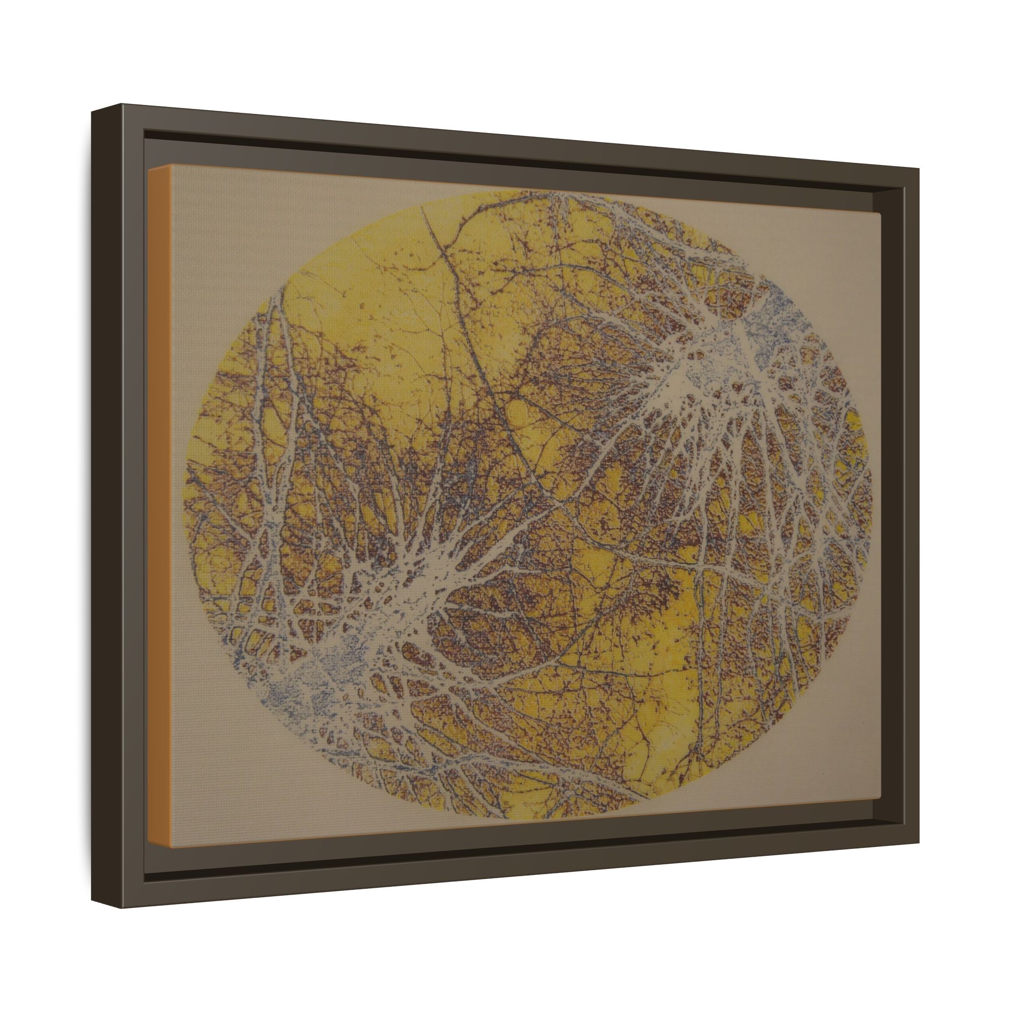 Abstract Golden Moon Canvas Framed Wall Art - no 37