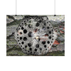 Dandelion Seed Macro Poster — Horizontal Nature Wall Art