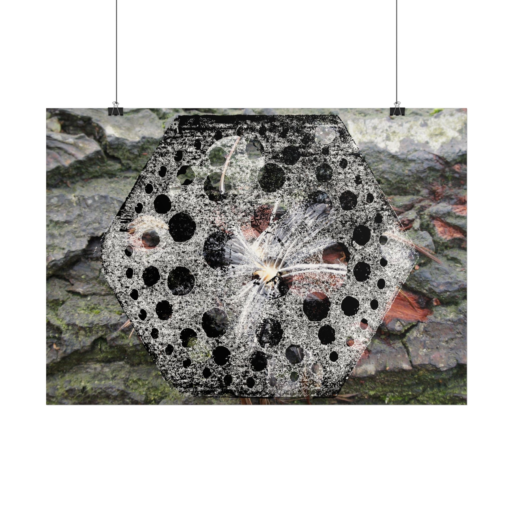 Macroposter van paardenbloemzaadjes — Horizontale natuurmuurdecoratie 