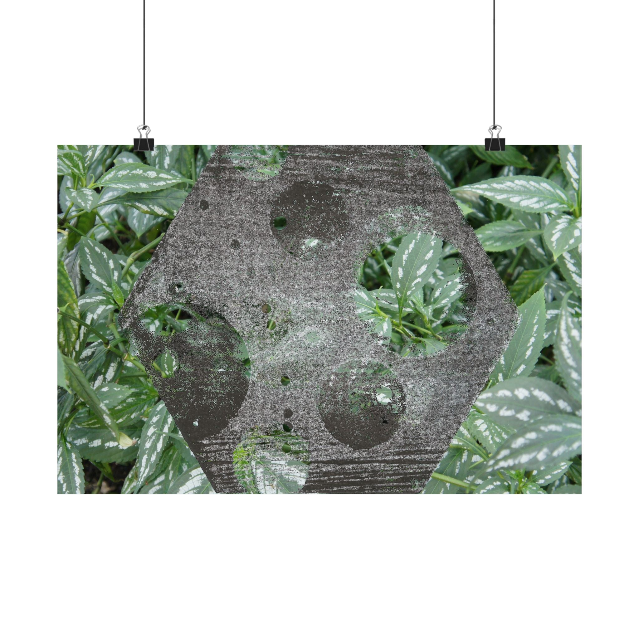 Botanical Hexagon Print Poster — Green Leaf Matte Horizontal Wall Art