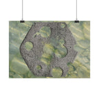 Abstracte poster met zeegras en steen, horizontaal model — Muurdecoratie met kusttextuur 