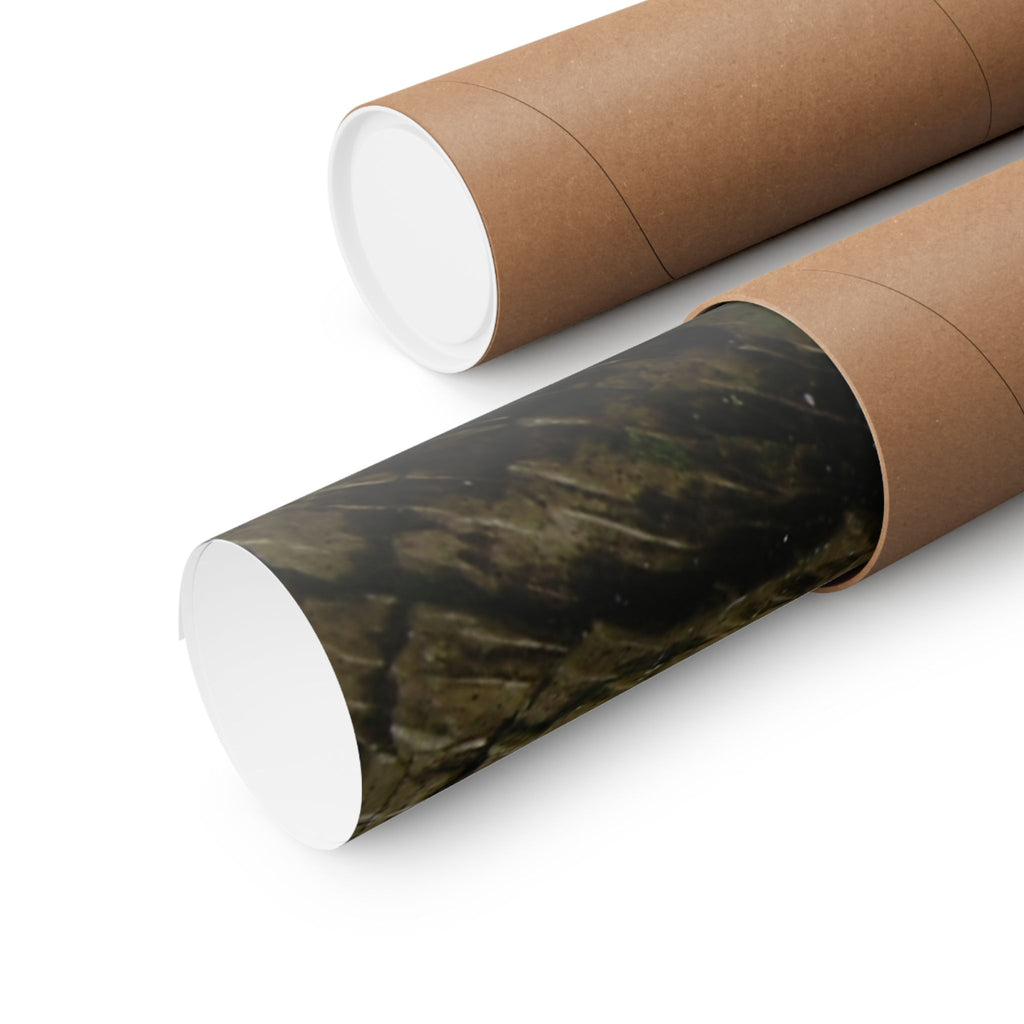 Weathered Tree Cross-Section Poster | Matte Horizontal Wall Art