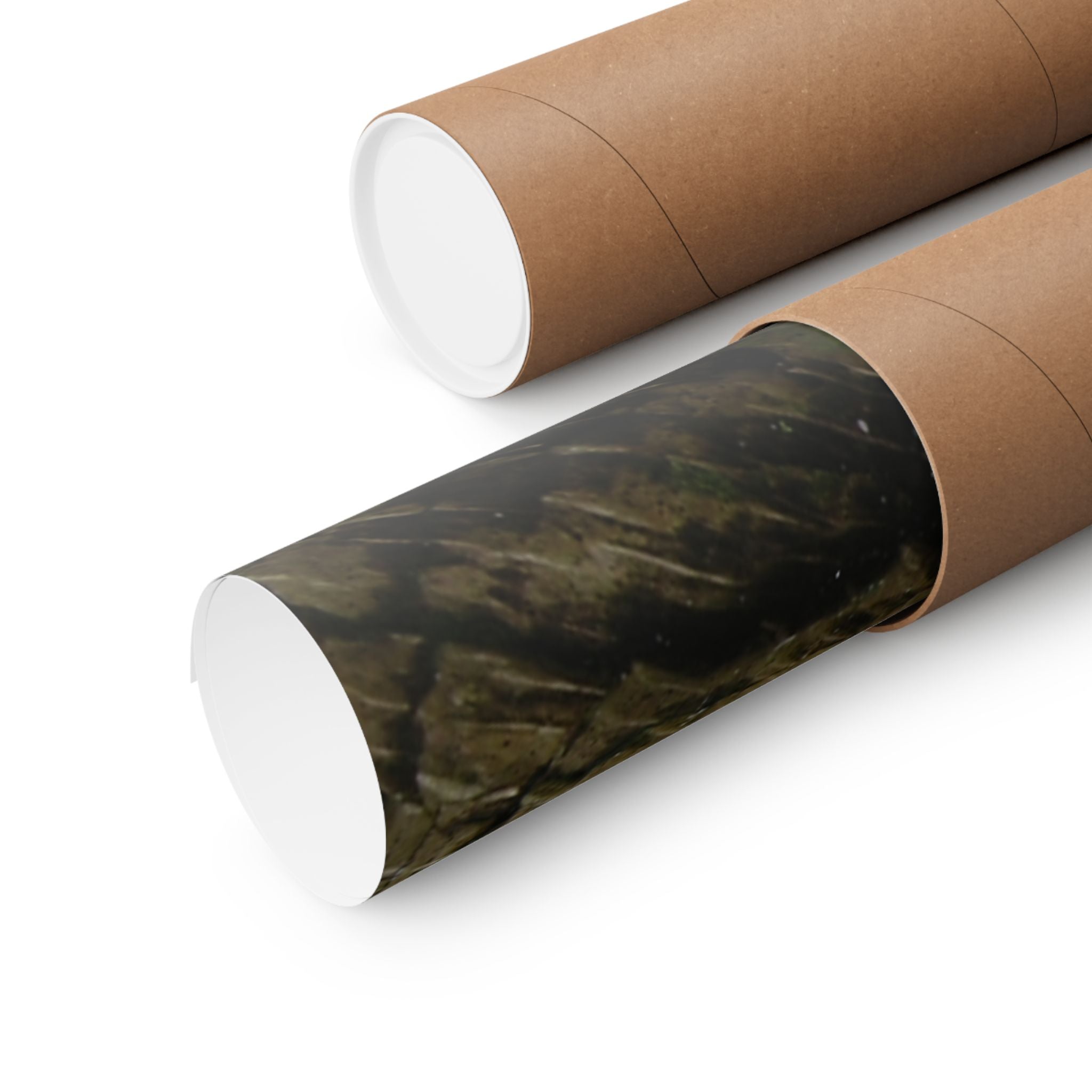 Weathered Tree Cross-Section Poster | Matte Horizontal Wall Art