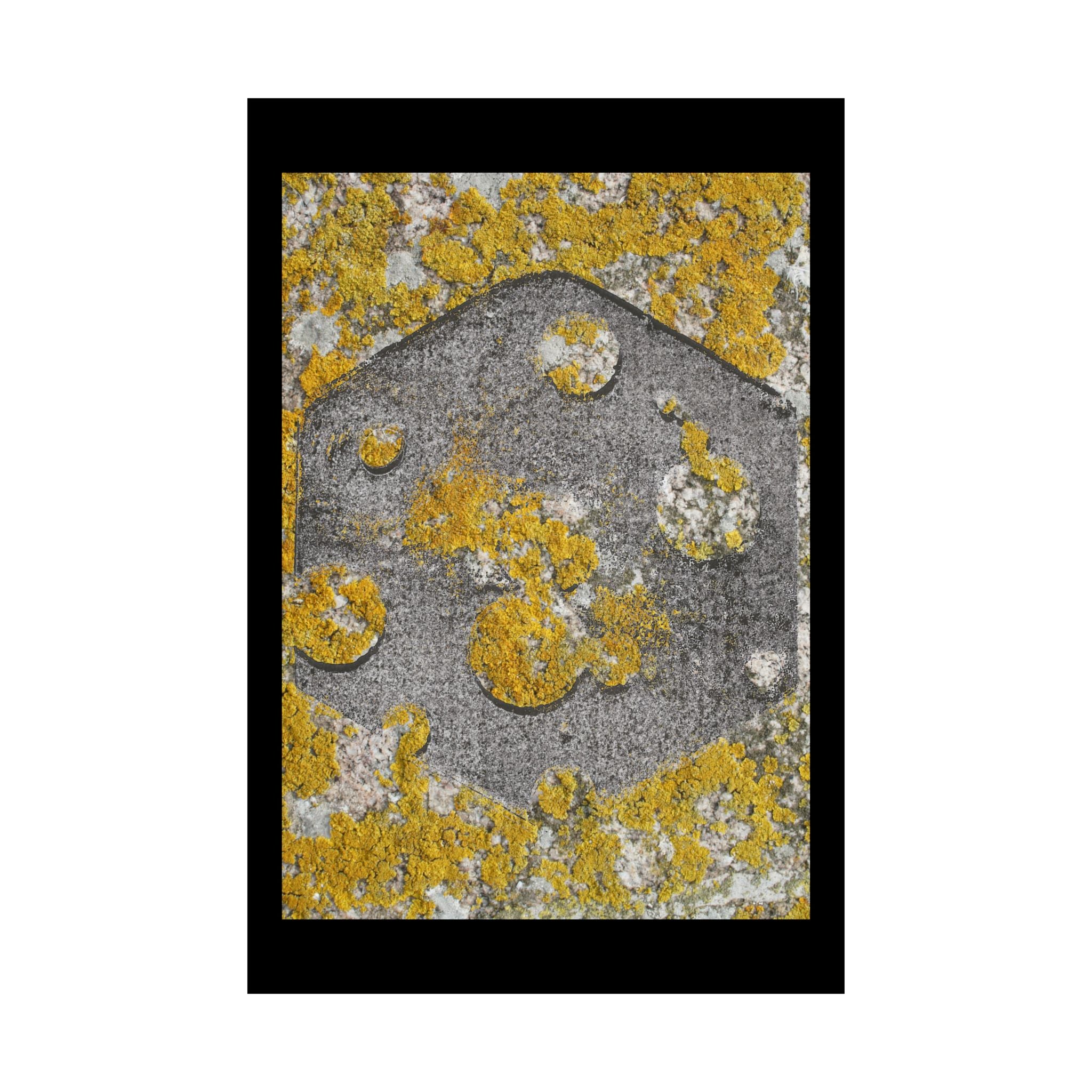 Matte poster met korstmosstructuur — Abstracte muurdecoratie in geel en grijs (verticaal) 