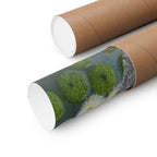Daisy & Moss Floral Poster — Matte Horizontal Wall Art