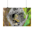 Abstract Hex Bolt Close-Up Matte Poster — Industrial Nature Wall Art