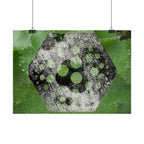 Horizontal Poster — Green Hexagon Botanical Abstract Wall Art