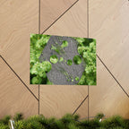 Abstracte poster met groen mos en verweerd metaal (mat) — Botanische natuur muurdecoratie (horizontaal) 